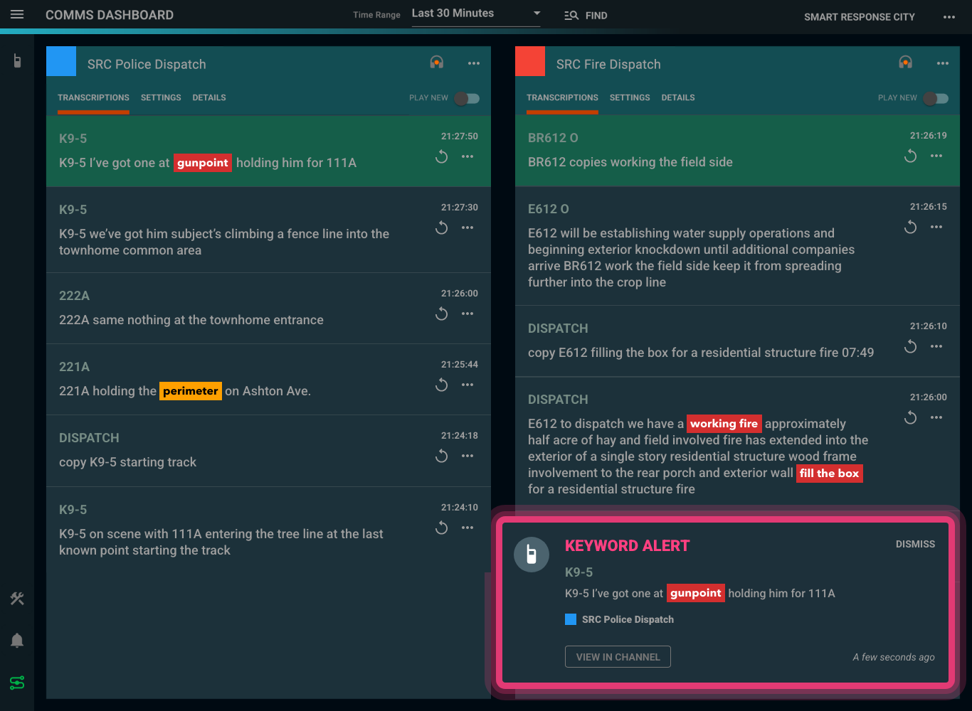 Delphini live radio transcription dashboard showing keyword alerts